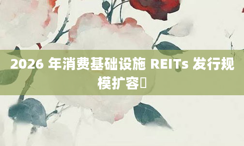2026 年消费基础设施 REITs 发行规模扩容​