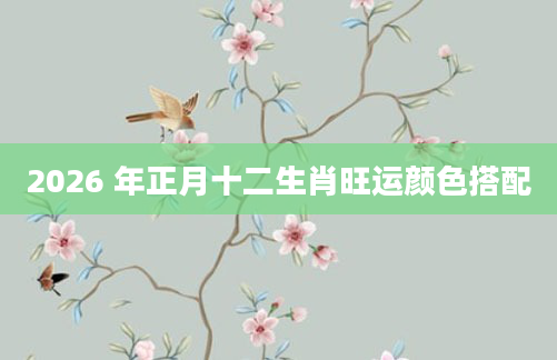 2026 年正月十二生肖旺运颜色搭配