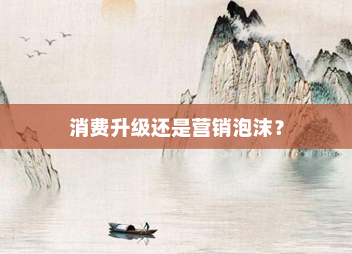 消费升级还是营销泡沫？
