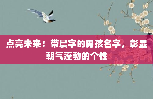 点亮未来！带晨字的男孩名字，彰显朝气蓬勃的个性