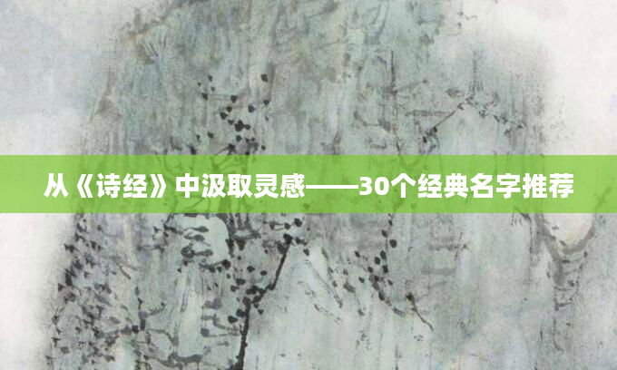 从《诗经》中汲取灵感——30个经典名字推荐