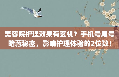 美容院护理效果有玄机？手机号尾号暗藏秘密，影响护理体验的2位数！