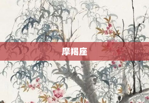 摩羯座