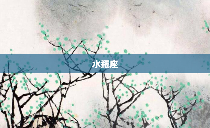 水瓶座