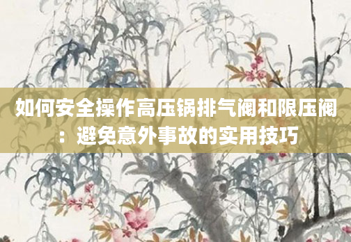如何安全操作高压锅排气阀和限压阀：避免意外事故的实用技巧