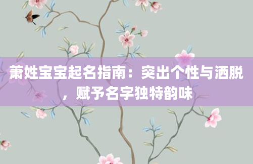 萧姓宝宝起名指南：突出个性与洒脱，赋予名字独特韵味
