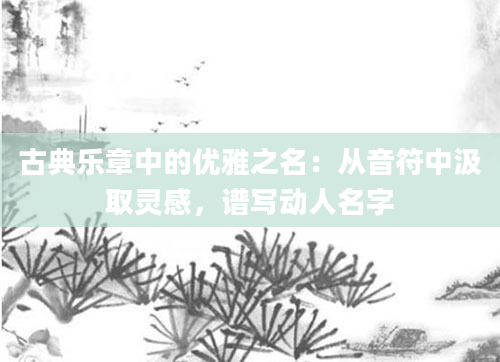古典乐章中的优雅之名：从音符中汲取灵感，谱写动人名字