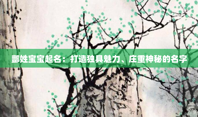 酆姓宝宝起名：打造独具魅力、庄重神秘的名字