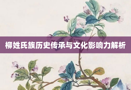 柳姓氏族历史传承与文化影响力解析