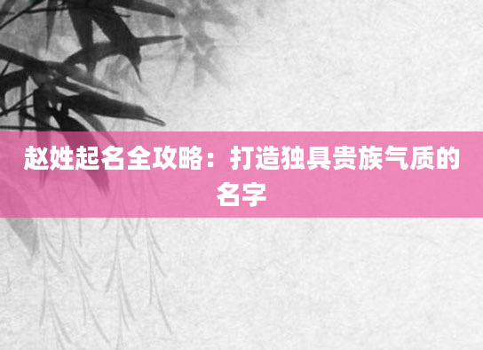 赵姓起名全攻略：打造独具贵族气质的名字
