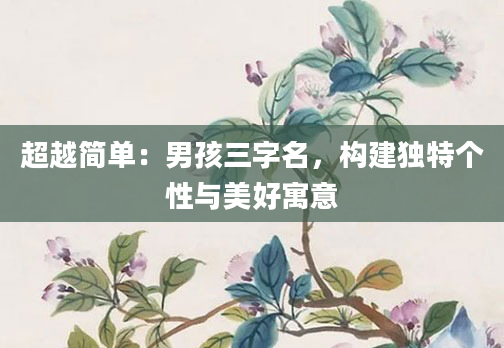 超越简单：男孩三字名，构建独特个性与美好寓意