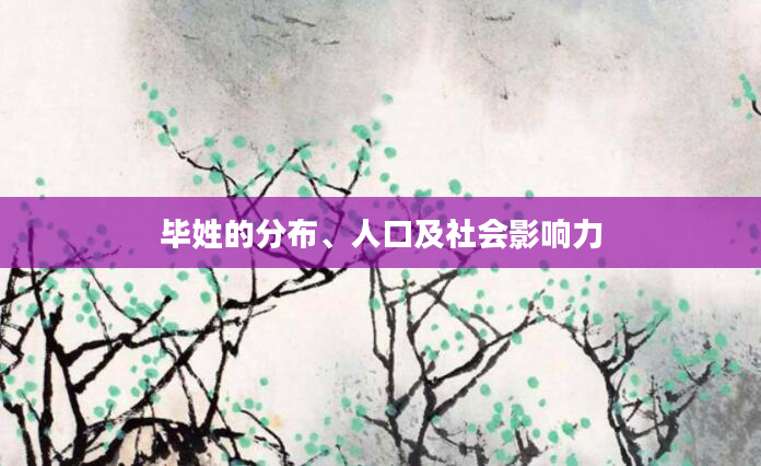 毕姓的分布、人口及社会影响力