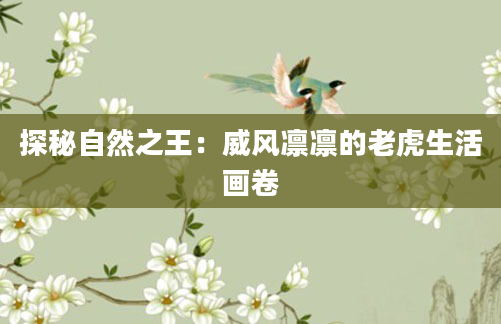 探秘自然之王：威风凛凛的老虎生活画卷