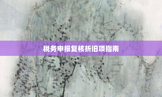 税务申报复核折旧项指南