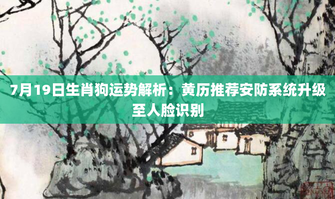 7月19日生肖狗运势解析：黄历推荐安防系统升级至人脸识别