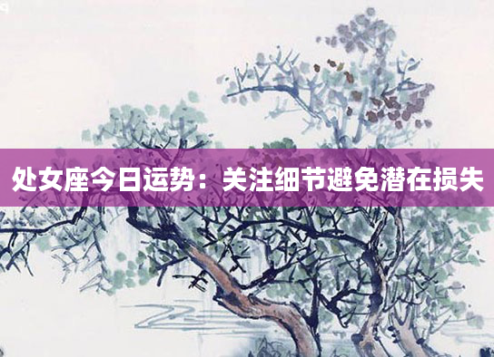 处女座今日运势：关注细节避免潜在损失