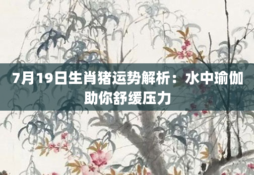 7月19日生肖猪运势解析：水中瑜伽助你舒缓压力