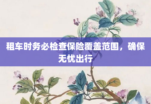 租车时务必检查保险覆盖范围，确保无忧出行