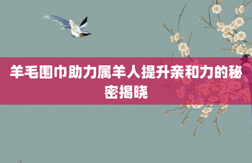 羊毛围巾助力属羊人提升亲和力的秘密揭晓