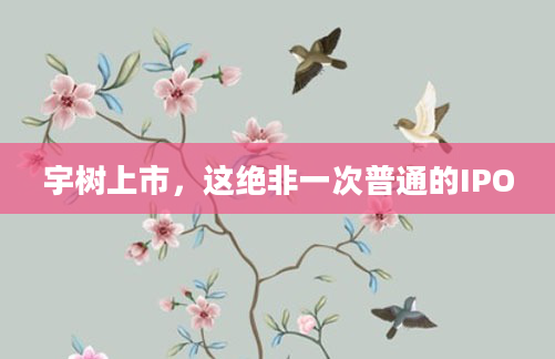 宇树上市，这绝非一次普通的IPO