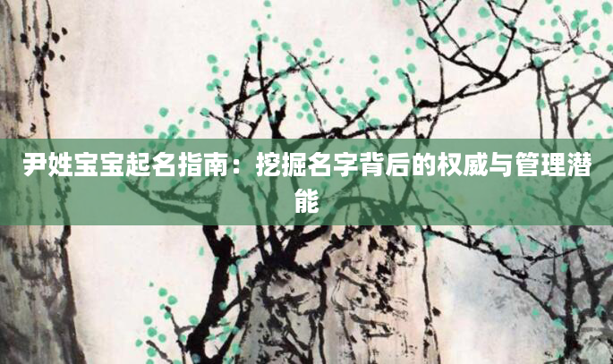 尹姓宝宝起名指南:挖掘名字背后的权威与管理潜能
