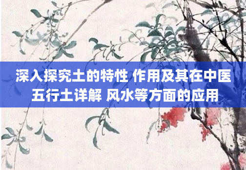 深入探究土的特性 作用及其在中医 五行土详解 风水等方面的应用