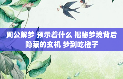 周公解梦 预示着什么 揭秘梦境背后隐藏的玄机 梦到吃橙子