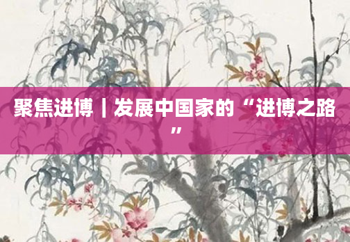 聚焦进博|发展中国家的“进博之路”