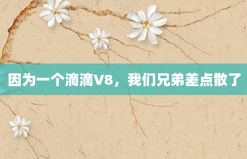 因为一个滴滴V8,我们兄弟差点散了