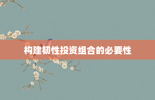 构建韧性投资组合的必要性