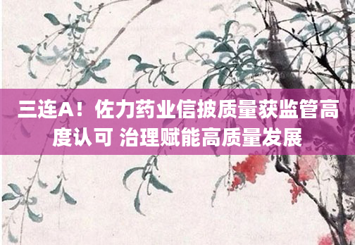 三连A!佐力药业信披质量获监管高度认可 治理赋能高质量发展
