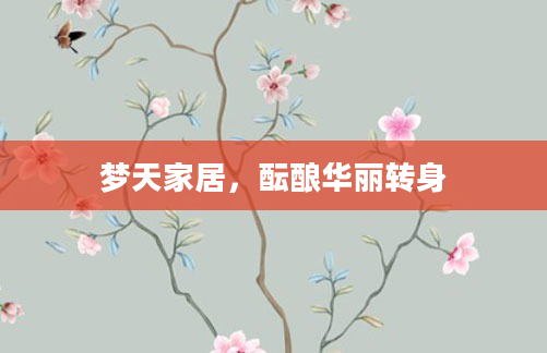 梦天家居,酝酿华丽转身