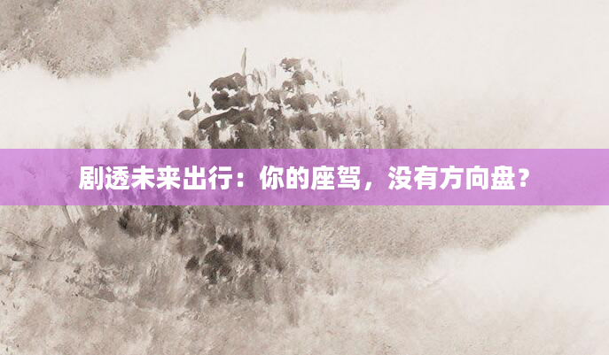 剧透未来出行:你的座驾,没有方向盘?