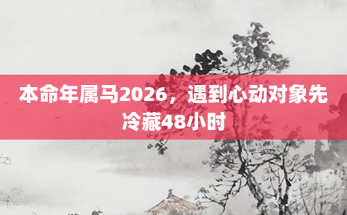 本命年属马2026,遇到心动对象先冷藏48小时