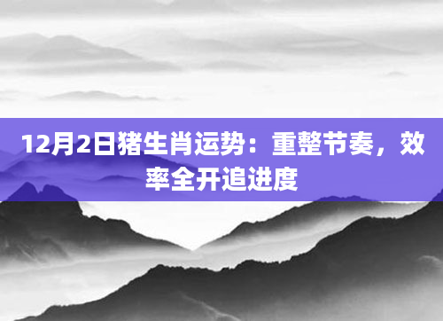 12月2日猪生肖运势:重整节奏,效率全开追进度
