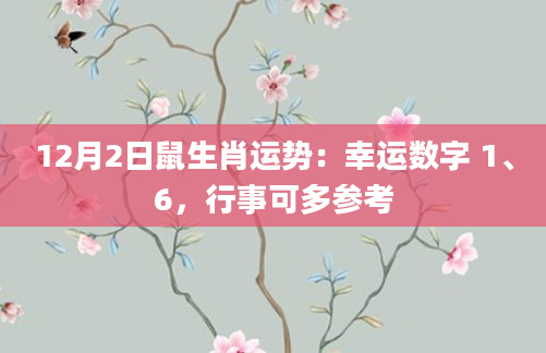 12月2日鼠生肖运势:幸运数字 1、6,行事可多参考