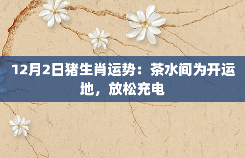12月2日猪生肖运势:茶水间为开运地,放松充电