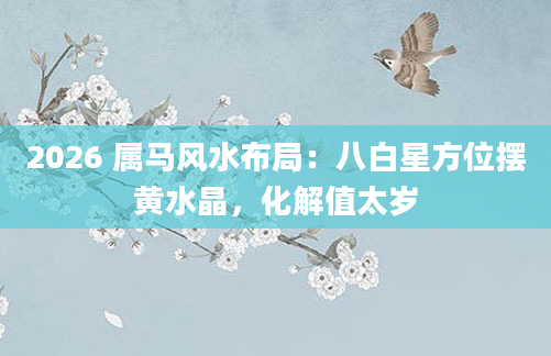 2026 属马风水布局:八白星方位摆黄水晶,化解值太岁