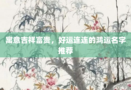 寓意吉祥富贵,好运连连的鸿运名字推荐