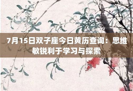 7月15日双子座今日黄历查询:思维敏锐利于学习与探索