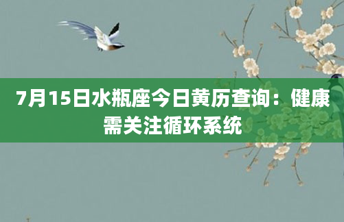7月15日水瓶座今日黄历查询:健康需关注循环系统