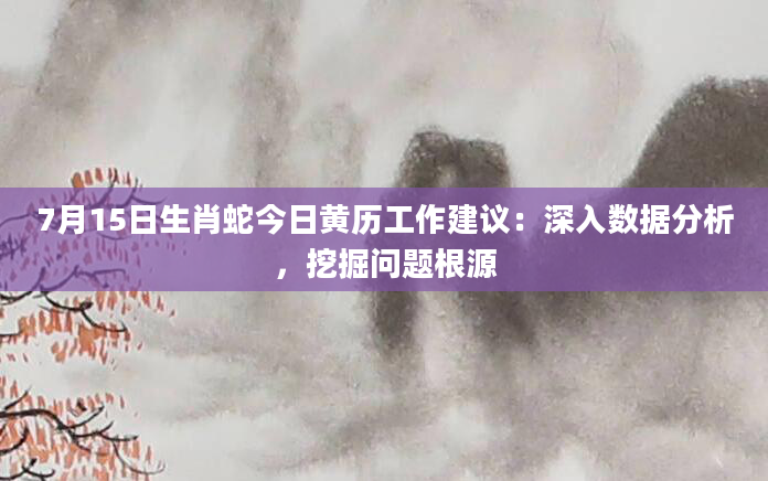7月15日生肖蛇今日黄历工作建议:深入数据分析,挖掘问题根源
