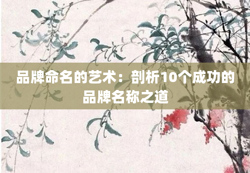 品牌命名的艺术:剖析10个成功的品牌名称之道