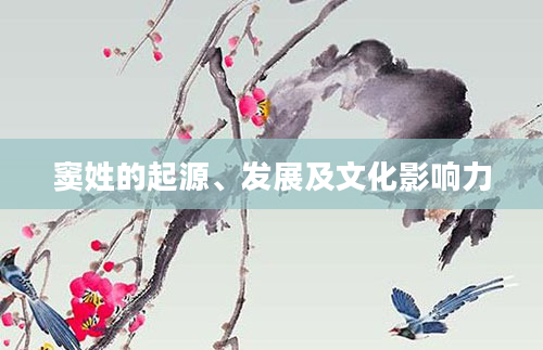 窦姓的起源、发展及文化影响力