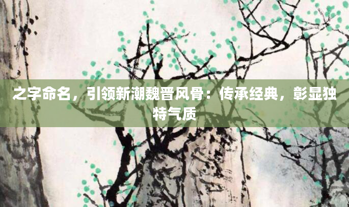 之字命名,引领新潮魏晋风骨:传承经典,彰显独特气质