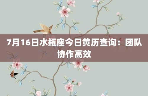 7月16日水瓶座今日黄历查询:团队协作高效