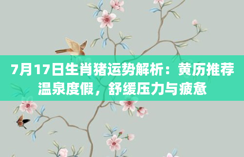 7月17日生肖猪运势解析:黄历推荐温泉度假,舒缓压力与疲惫