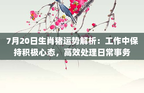 7月20日生肖猪运势解析:工作中保持积极心态,高效处理日常事务