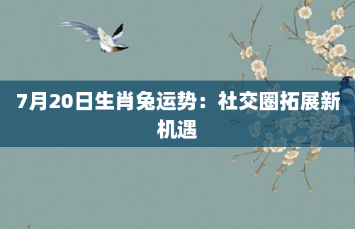 7月20日生肖兔运势:社交圈拓展新机遇