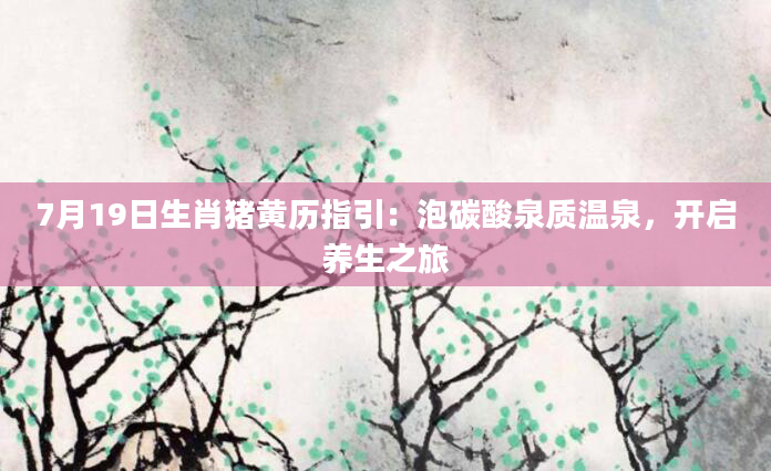7月19日生肖猪黄历指引:泡碳酸泉质温泉,开启养生之旅